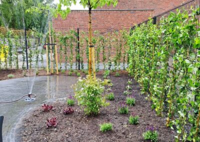 Diverse-projecten - 7