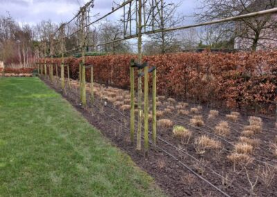 Nieuwe onderhoudstuin - 1