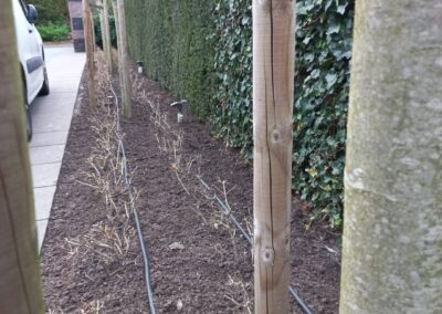 Nieuwe onderhoudstuin - 3