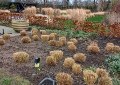 Nieuwe onderhoudstuin - 6
