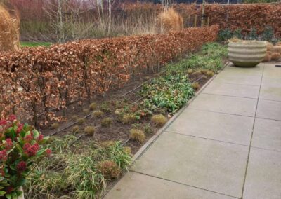 Nieuwe onderhoudstuin - 7