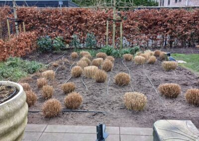 Nieuwe onderhoudstuin - 8