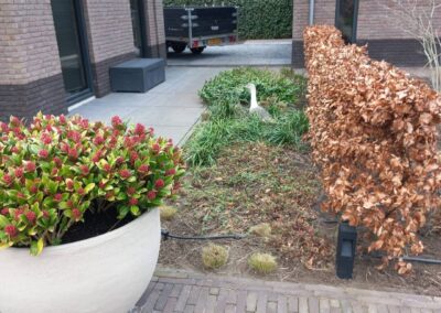 Nieuwe onderhoudstuin - 9